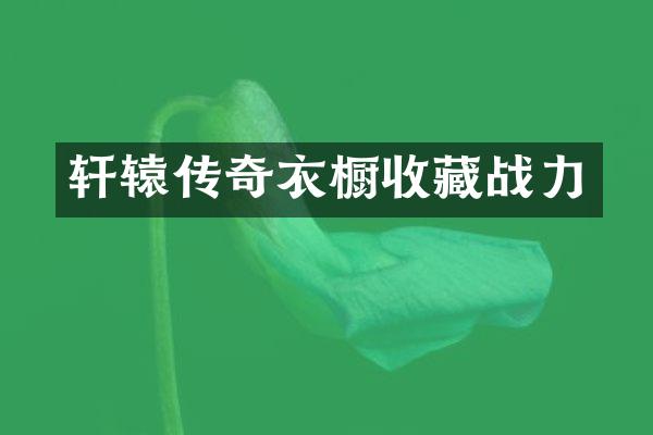 轩辕传奇衣橱收藏战力