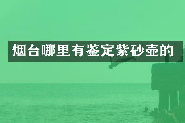 烟台哪里有鉴定紫砂壶的