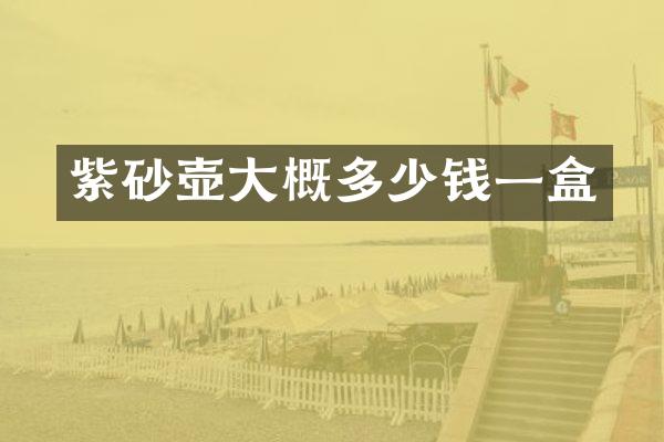 紫砂壶大概多少钱一盒