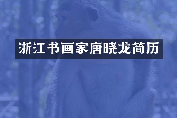 浙江书画家唐晓龙简历