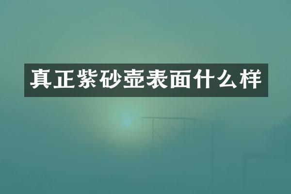 真正紫砂壶表面什么样