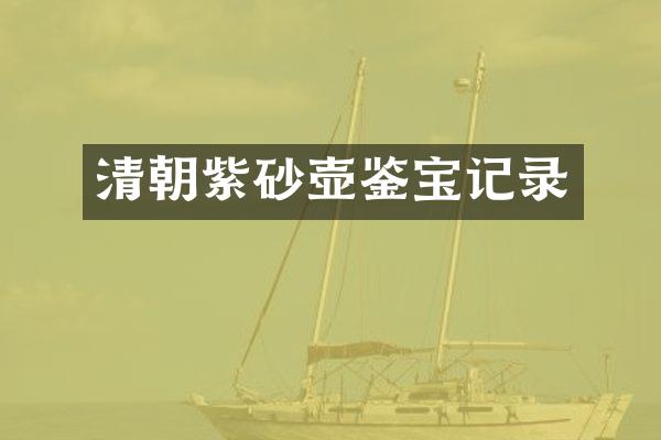 清朝紫砂壶鉴宝记录