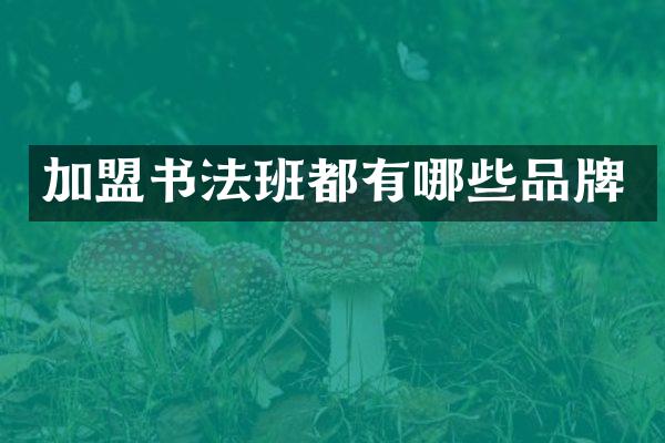 加盟书法班都有哪些品牌
