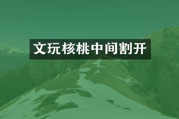文玩核桃中间割开