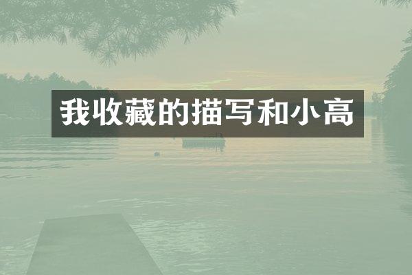 我收藏的描写和小高