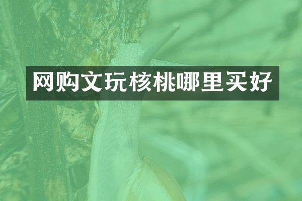 网购文玩核桃哪里买好
