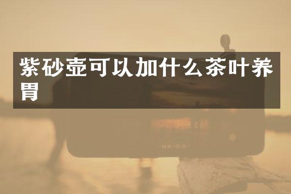 紫砂壶可以加什么茶叶养胃