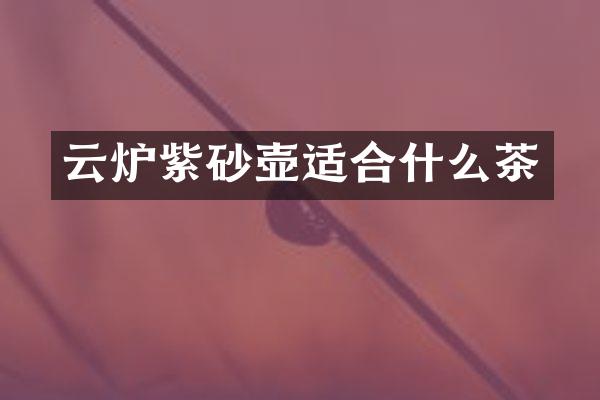 云炉紫砂壶适合什么茶