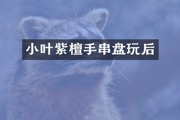 小叶紫檀手串盘玩后