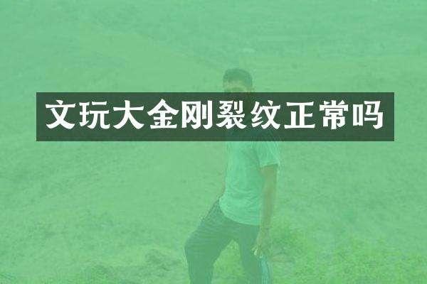 文玩大金刚裂纹正常吗