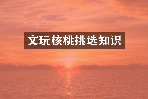 文玩核桃挑选知识