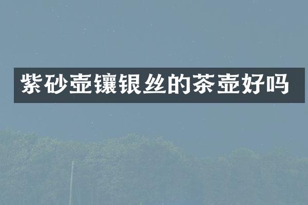 紫砂壶镶银丝的茶壶好吗