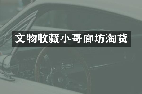 文物收藏小哥廊坊淘货