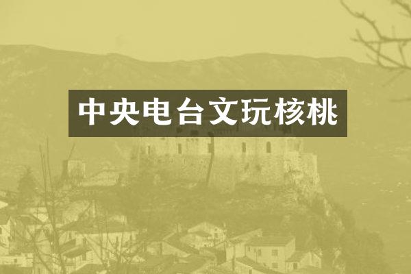 中央电台文玩核桃