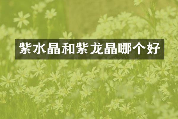 紫水晶和紫龙晶哪个好