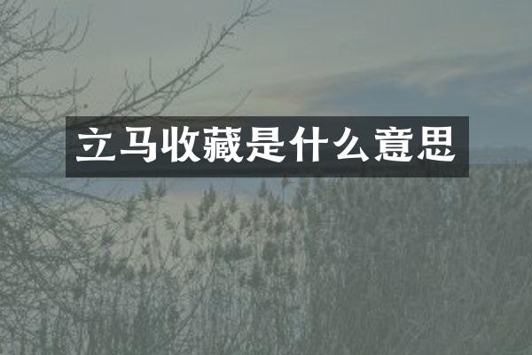 立马收藏是什么意思