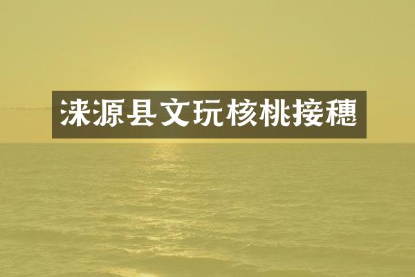 涞源县文玩核桃接穗