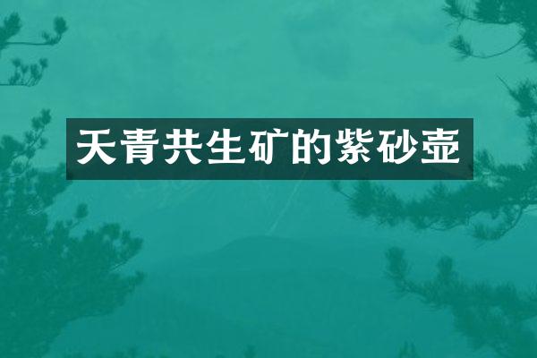 天青共生矿的紫砂壶