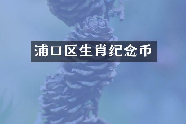 浦口区生肖纪念币