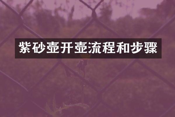 紫砂壶开壶流程和步骤