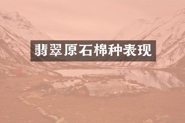 翡翠原石棉种表现