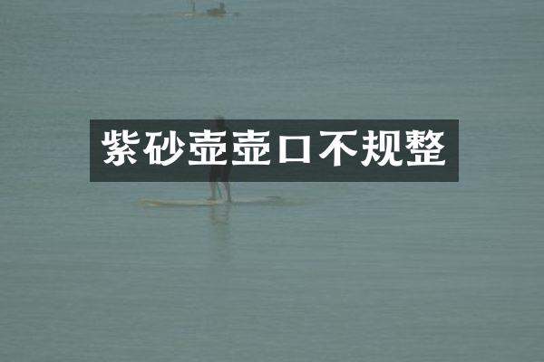 紫砂壶壶口不规整