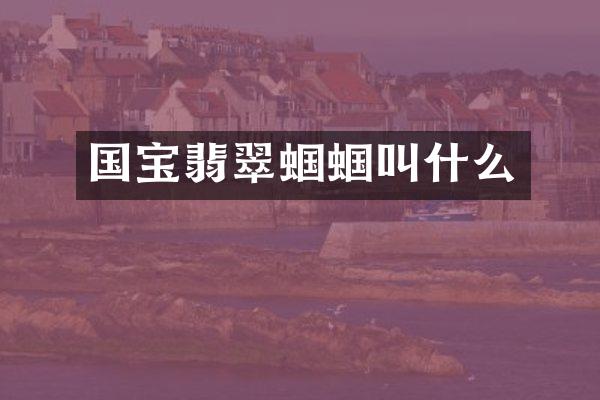 国宝翡翠蝈蝈叫什么