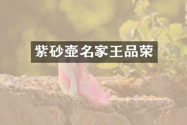 紫砂壶名家王品荣