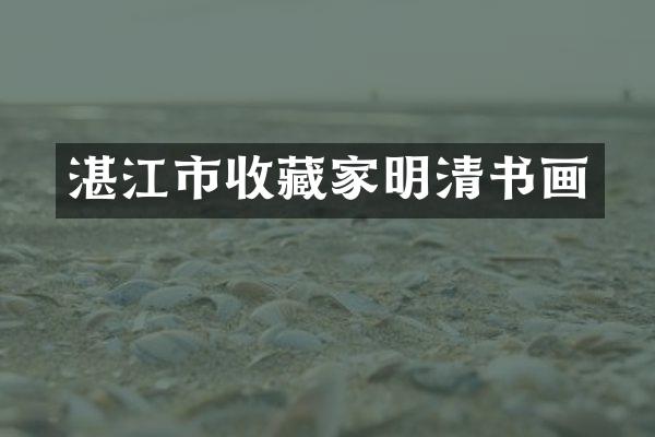湛江市收藏家明清书画