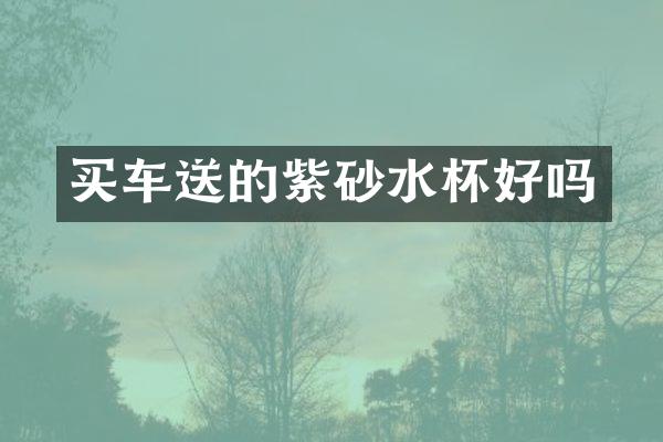 买车送的紫砂水杯好吗
