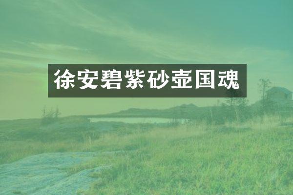 徐安碧紫砂壶国魂