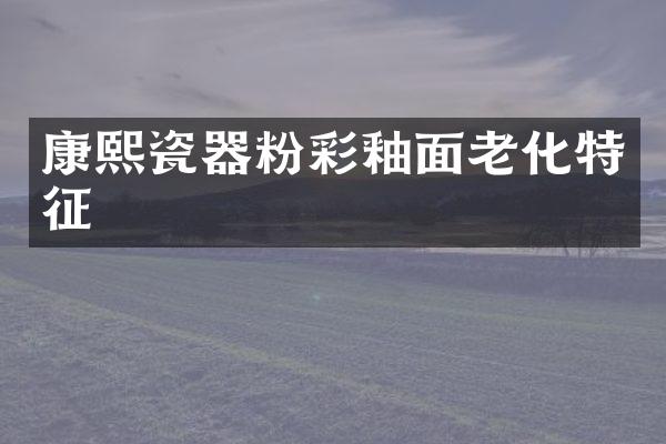 康熙瓷器粉彩釉面老化特征