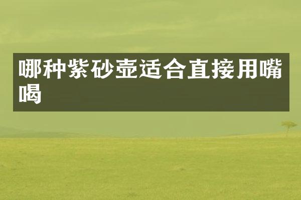 哪种紫砂壶适合直接用嘴喝