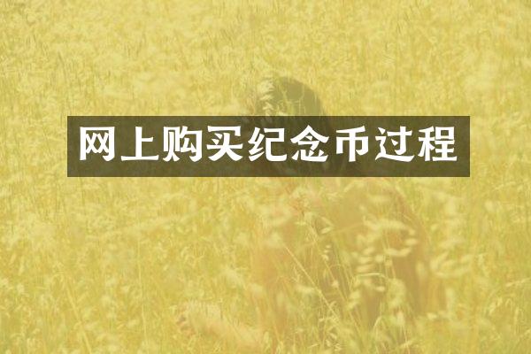 网上购买纪念币过程