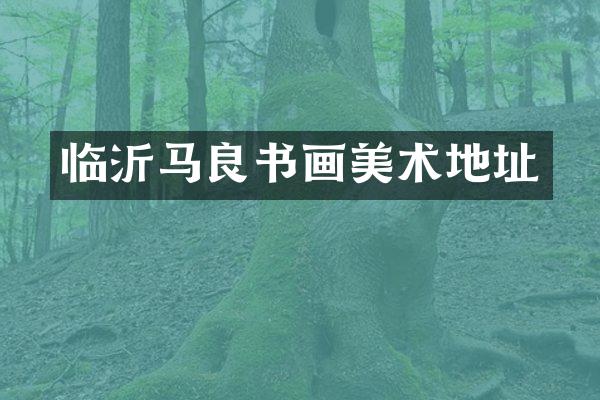 临沂马良书画美术地址