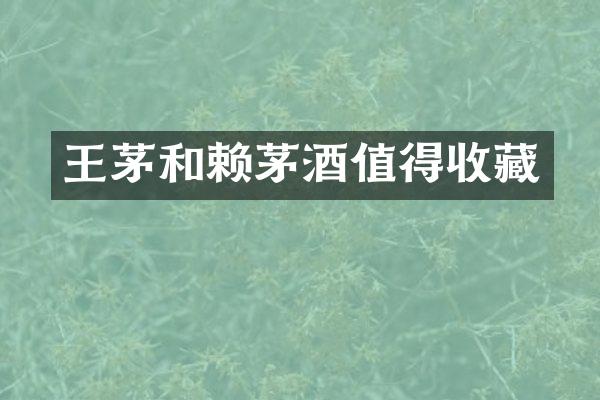 王茅和值得收藏