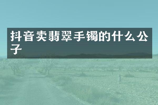 抖音卖翡翠手镯的什么公子