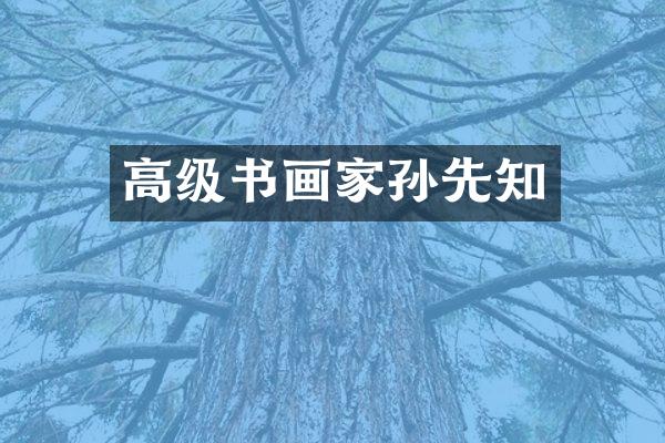 高级书画家孙先知