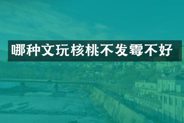 哪种文玩核桃不发霉不好