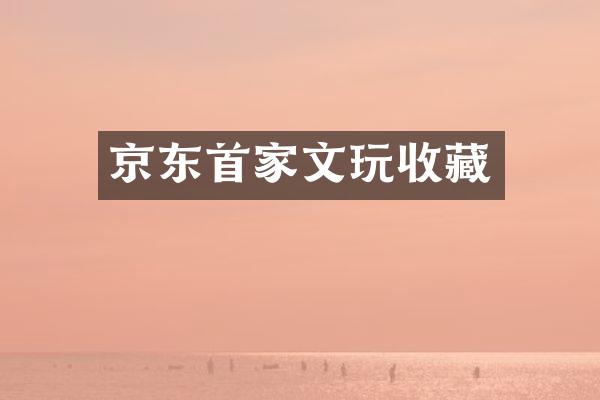 京东文玩收藏