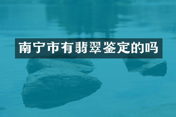 南宁市有翡翠鉴定的吗