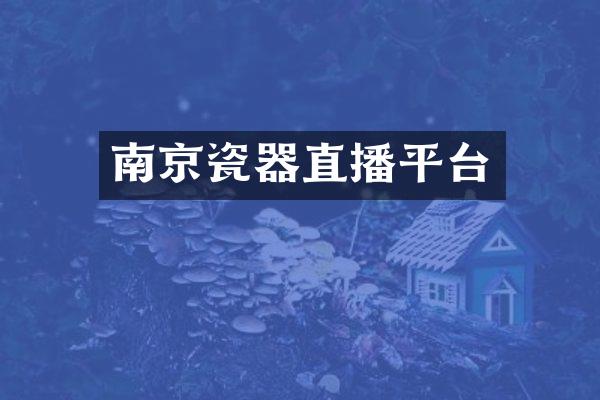 南京瓷器直播平台
