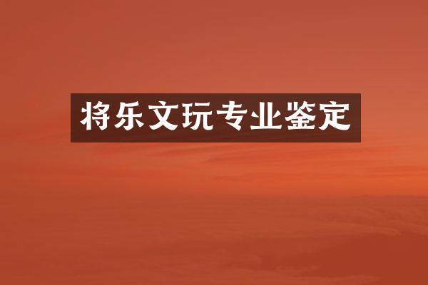 将乐文玩专业鉴定