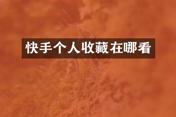 快手个人收藏在哪看