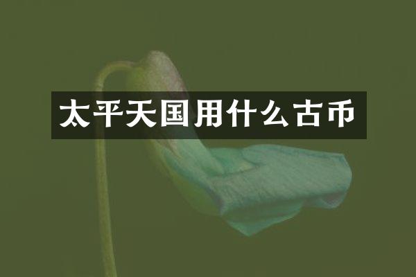 太平天国用什么古币