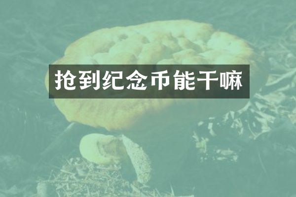 抢到纪念币能干嘛