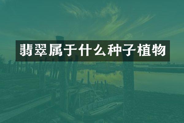 翡翠属于什么种子植物