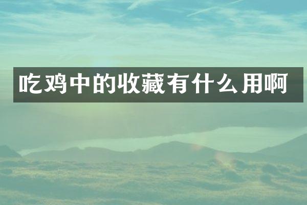 吃鸡中的收藏有什么用啊