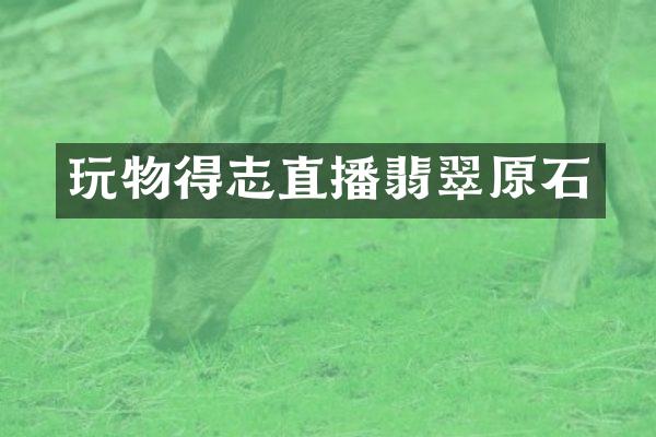 玩物得志直播翡翠原石