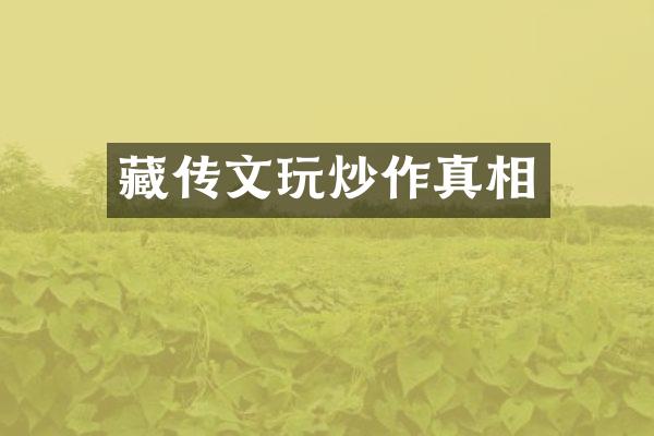 藏传文玩炒作真相
